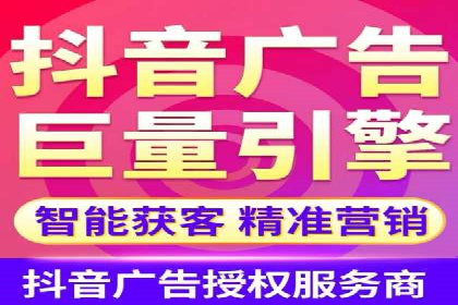 SEM代运营公司案例分析报告